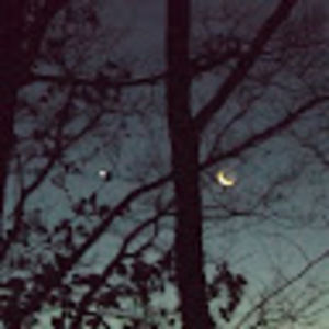 Meet your Posher, Noelia